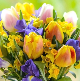 Spring Florist's Choice Bouquet